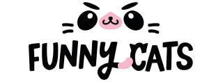 funny cats