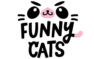 funny cats